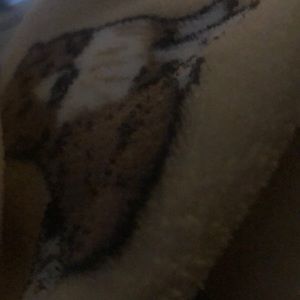 Meet your Posher, Aisha